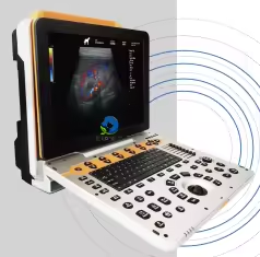 EUR VET Scanner à ultrasons numérique <span class=keywords><strong>3D</strong></span> complet, Doppler couleur numérique, équipement vétérinaire, système d'échographie vétérinaire portable - Product Image 2