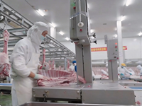 Mesin Pemotong Daging Efisiensi Tinggi Industri, Mesin Pengolahan Daging untuk Pabrik Pengolahan Daging, Peralatan Pemotongan Hewan