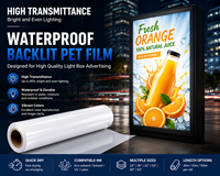 Film PET rétroéclairé imperméable pour impression jet d'encre sur boîte lumineuse