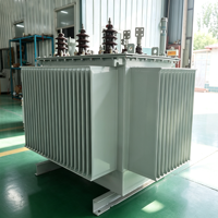 Transformateur de distribution immergé dans l'huile 60Hz 12,47kV S11-M Triphasé 480V Bobinage en cuivre NEMA IEC60076