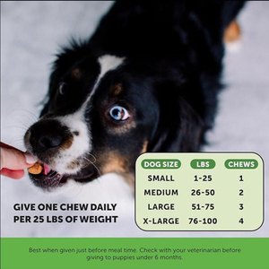 Polvo Limpiador de Placa Dental y Refrescante de Aliento para Perros, Alta en Proteínas, Sin Marca, con 3 Años de Duración, Frasco de 150g - Product Image 4