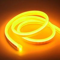Tube de lampe led néon étanche avec Gel de silice, lampe Flexible, 12V