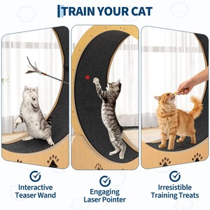 無垢材製猫用エクササイズホイール、静音室内フィットネストレッドミル（猫と子猫用）、取り外し可能なカーペットで簡単清掃 - Product Image 4