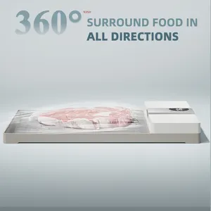 Gadget da cucina su misura smart fast food veloce scongelamento vassoio per carne congelata bistecca di pesce