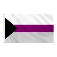 Drapeau de la fierté demi-sexe personnalisé sur mesure 3x5 pieds en polyester, vente en gros d'usine, prêt à expédier, pour événements nationaux