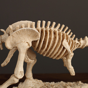 Modèle de squelette fossile de Tyrannosaurus Rex en résine, squelette de dinosaure, décoration éducative, style nordique moderne, rétro blanc - Product Image 4
