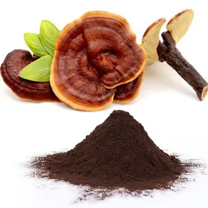 Бета-глюкан Ganoderma lucidum, экстракт органического порошка грибов