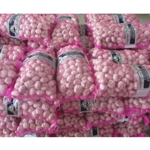กระเทียมสด 100% บริสุทธิ์ ไม่มีสารกันบูด สำหรับส่งออก - Product Image 5