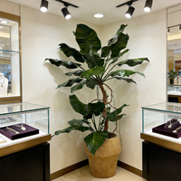 Plantes artificielles Alocasia de haute qualité de 210 cm en pot, design élégant, décoration pour la maison, le bureau, l'hôtel, fausse plante Alocasia dans un pot en ciment