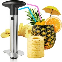 Outil manuel en acier inoxydable pour éplucher et trancher les fruits, coupe-ananas domestique, extracteur de noyau