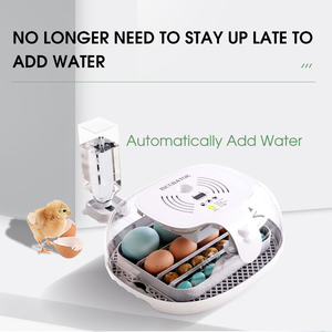 Incubateur automatique pour 16 œufs, dernière conception <span class=keywords><strong>2022</strong></span>, <span class=keywords><strong>prix</strong></span> au Ethiopie - Product Image 3