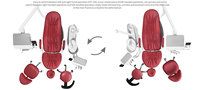 Excellentes unités dentaires de luxe avec fauteuils dentaires orientables pour une utilisation à gauche et à droite