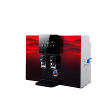Système de filtration d'eau par osmose inverse électrique, filtration en 5 étapes, montage mural, fonction eau chaude, plastique, utilisation hôtelière, marque Wellblue