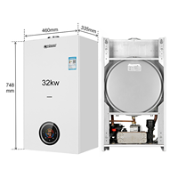GPL naturel 32kw Caldera Gas Factory Vente directe Chaudière suspendue Spa Salon Bâtiment Chauffage