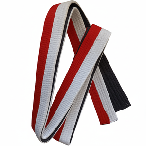 Cinturones de artes marciales personalizados Realsin MMA, de alta calidad, kárate, Taekwondo, cinturón de Color, venta al por mayor - Product Image 1