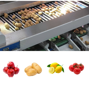 Ligne de tri et de calibrage automatique haute performance pour kiwis, pommes de terre, courgettes, tomates, concombres et oignons, en acier inoxydable 304 - Product Image 6