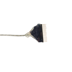 <span class=keywords><strong>Cápsula</strong></span> de vídeo inalámbrica ip67 1080p, endoscopio de 5,5mm, adaptadores de cámara dual con fuente de luz médica, OV2740 - Product Image 4