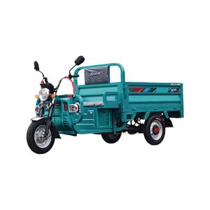 Tricycle cargo électrique à 3 roues pour adultes, pliable, avec <span class=keywords><strong>2</strong></span> places pour passagers - Product Image 4