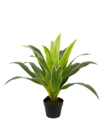 Usine Guangdong Pas Cher Extérieur Intérieur Fleurs Et Plantes Décoratives Faux Dracaena Sanderiena Arbre Artificiel Dracaena Fragrans