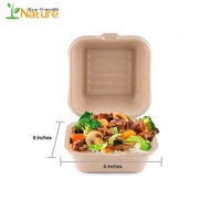 Scatola biodegradabile di canna da zucchero 6x6 pollici scatola di hamburger usa e getta porta via contenitore cibo scatola di canna da zucchero