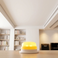 Ampoules décoratives LED à télécommande, étanches IP65, changement de couleur RVB, lampes de nuit à intensité variable, batterie au lithium, Noël