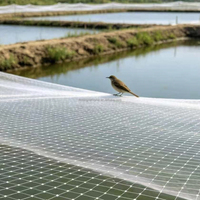 Fabrieksmatig UV-gestabiliseerd landbouwmonofilament anti-vogelnet voor boomgaardbescherming, fruit- en aardbeienkwekerijen