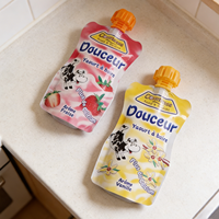 Pochette souple YSH de qualité alimentaire, résistante à l'humidité, avec bec verseur, pour emballage de liquides, jus, boissons, aliments pour bébés, sac isotherme