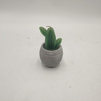 Bougie parfumée en pot personnalisée, art du pot, logo personnalisé mignon, plantes succulentes, décoration de la maison, aromathérapie universelle, cire de soja, pilier de fleurs