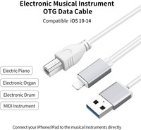 Hôte OTG MIDI 2 en 1 avec câble de piano de chargement USB pour Iphone pour Ipad Câble d'orgue électronique IOS 13 14