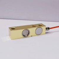 Celda de Carga de Doble Viga de Corte de 10T 20T 30T 40T, IP67 IP68, Acero Aleado, Sensor de Pesaje RS485 para Báscula de Camiones