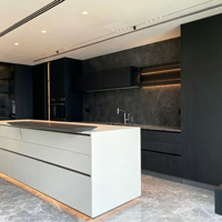Ensemble d'armoires de cuisine sur mesure avec cuisinière intégrée et rangement global intégré. Meubles de cuisine sur mesure.