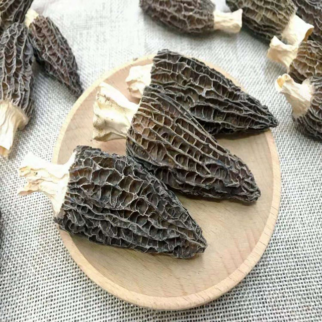 Yang Du Jun Chinese Supplier Dried Morels Morchella Conica Esculenta Mushroom