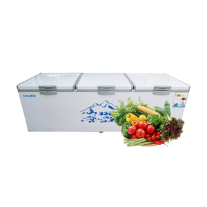 Congeladores Horizontales de Gran Capacidad para Supermercados y Uso Doméstico - Product Image 2