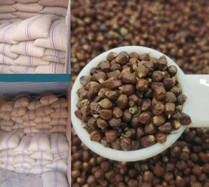 100g en gros, fruits d'Aframomum Melegueta séchés de haute qualité, poivre de Guinée, grains de paradis bruts naturels séchés au soleil - Product Image 1