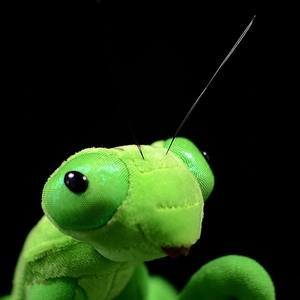 Personalizado verde grande espada <span class=keywords><strong>Mantis</strong></span> Animal de peluche suave relleno niños al por mayor regalos realistas CPC estándar <span class=keywords><strong>Mantis</strong></span> simulación Animal - Product Image 2