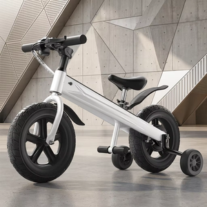 Vélo d'équilibre pour enfants homologué CE, 800W, 36V, roue avant de 12 pouces, cadre en acier carbone, selle en cuir, pour enfants de 8 ans (Len 93) - Product Image 5