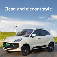 Véhicule hybride rechargeable 2026 amélioré, quadricycle électrique, SUV 4 portes 5 places, pour usage domestique, trajets domicile-travail, 50 km/h