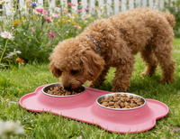 Bol d'alimentation pour animaux de compagnie en gel de silicone pour chats et chiens, design pliable portable à double bol, anti-déversement MJ122