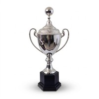 Trophée en métal argenté de haute qualité JINZUN pour les ligues de football/basketball/volleyball, trophée de champion plaqué argent