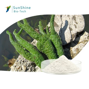 Bio microneedling spongilla bột 200-320μm thủy phân SPicule thâm nhập sâu hơn với báo cáo thử nghiệm - Product Image 1