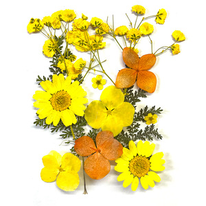 Vente en gros de fleurs et plantes pressées mélangées sèches pour l'artisanat en résine Art naturel vraies fleurs séchées - Product Image 6