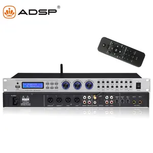 Penjualan laris Fx12l prosesor Audio Dsp profesional efek dengan harga rendah