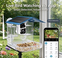 Mangeoire à oiseaux intelligente personnalisée avec caméra, recharge solaire, WiFi, vision nocturne 1080P, pour jardin extérieur, mangeoire à oiseaux sauvages, vente en gros OEM