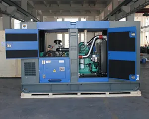 Küresel garanti ses geçirmez kabin ucuz dizel jeneratör 160kw 180kw 200kva 200kw 250kva 250kw çin dinamo jeneratör generador