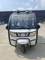 Rickshaw électrique 60V 2000W à trois roues, cabine élégante, tuk-tuk pour passagers adultes, carrosserie fermée, nouveau taxi électrique, directement de l'usine