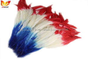 Proveedor Líder ZPDECOR, Venta al por Mayor de Plumas de <span class=keywords><strong>Gallo</strong></span> Teñidas en Dos Colores de 30-35 cm para Diseño de Disfraces de Carnaval - Product Image 3