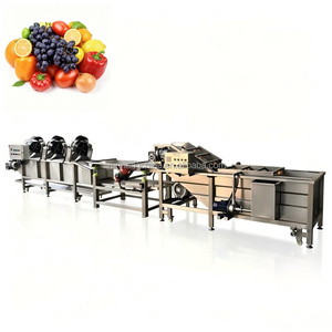 Laveuse industrielle commerciale pour légumes (peterselie, coriandre, laitue, poireau, céleri) et gingembre - Product Image 1