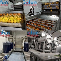 Mangopulp Productielijn Sappuree Productie Machine Verwerkingsfabriek