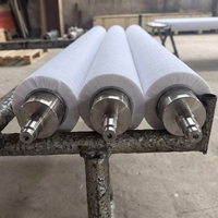 Rouleau brosse cylindrique à enroulement spiralé pour l'élimination des matériaux et le nettoyage de la poussière sur les bandes transporteuses