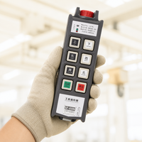 Control Remoto Inalámbrico Industrial de Una Sola Velocidad y 6 Direcciones con Bloqueo de Seguridad para Grúa Aérea, Resistente al Agua IP66